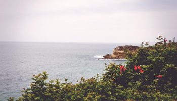 6b77d470-e0ff-3696-bc41-5c230dee8ec5